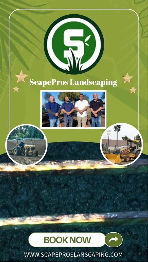Top-rated residential landscaping experts serving Anaheim, CA - Scapepros Landscaping
