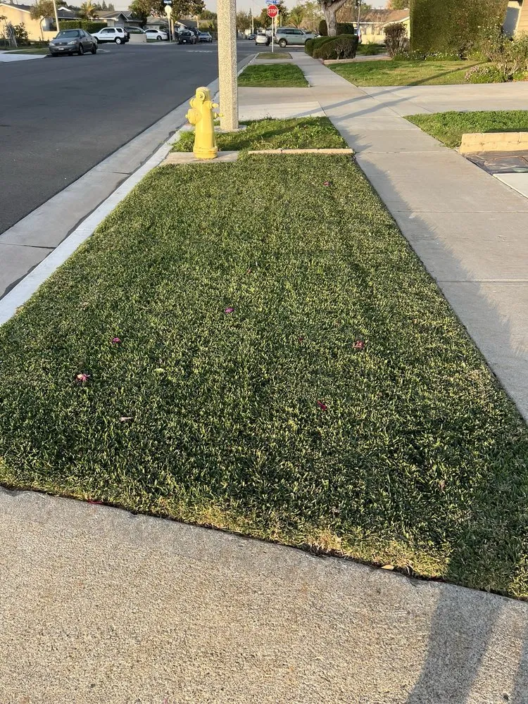 Professional landscaping services for residential properties across Anaheim, CA - Scapepros Landscaping