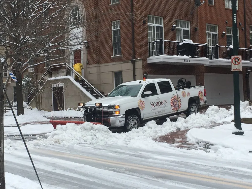 Top-rated yard cleanup service in Silver Spring, MD by Scapers Landscape Services