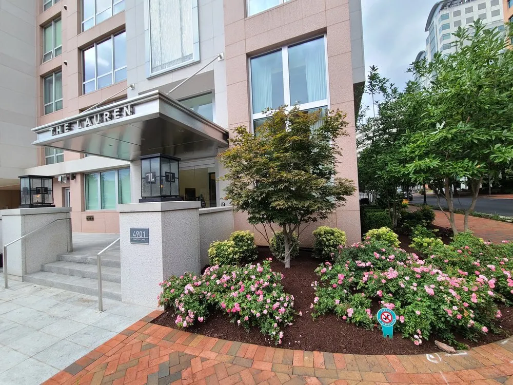 Local yard cleanup service for year-round maintenance in Silver Spring, MD by Scapers Landscape Services