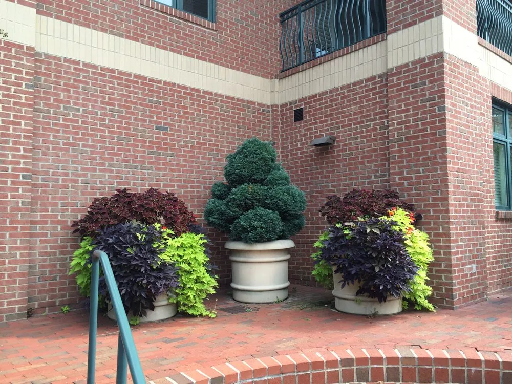 Affordable outdoor landscaping experts serving Silver Spring, MD - Scapers Landscape Services
