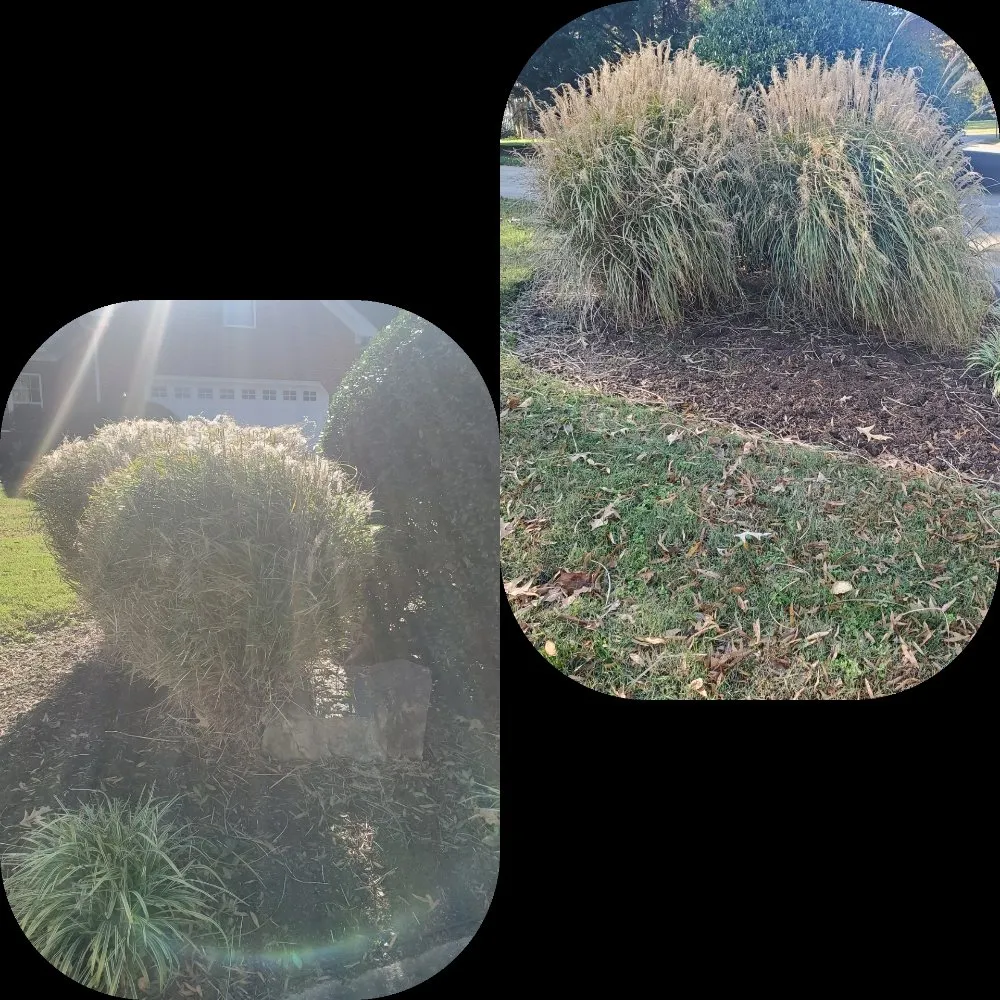 Custom residential landscaping for year-round maintenance across Smithfield, VA - Scapers