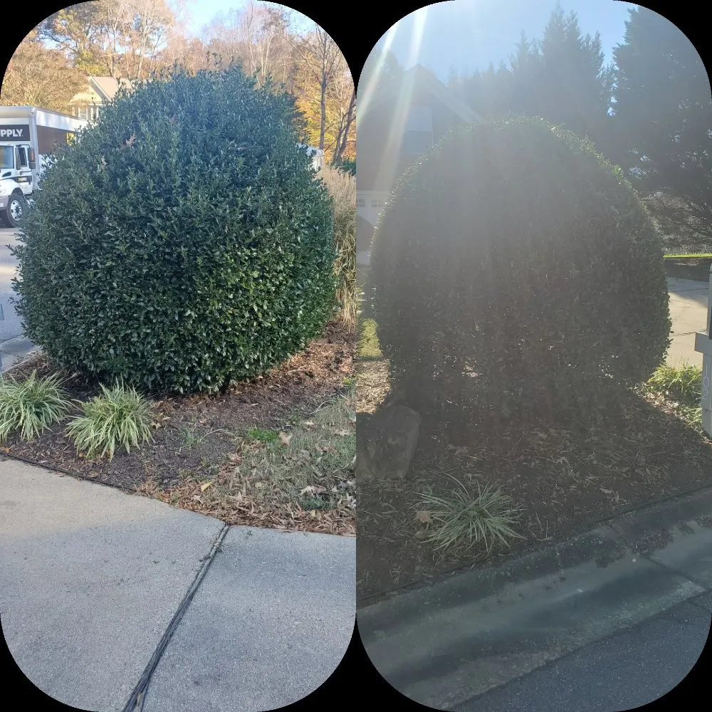 Local landscape installation in Smithfield, VA - Scapers