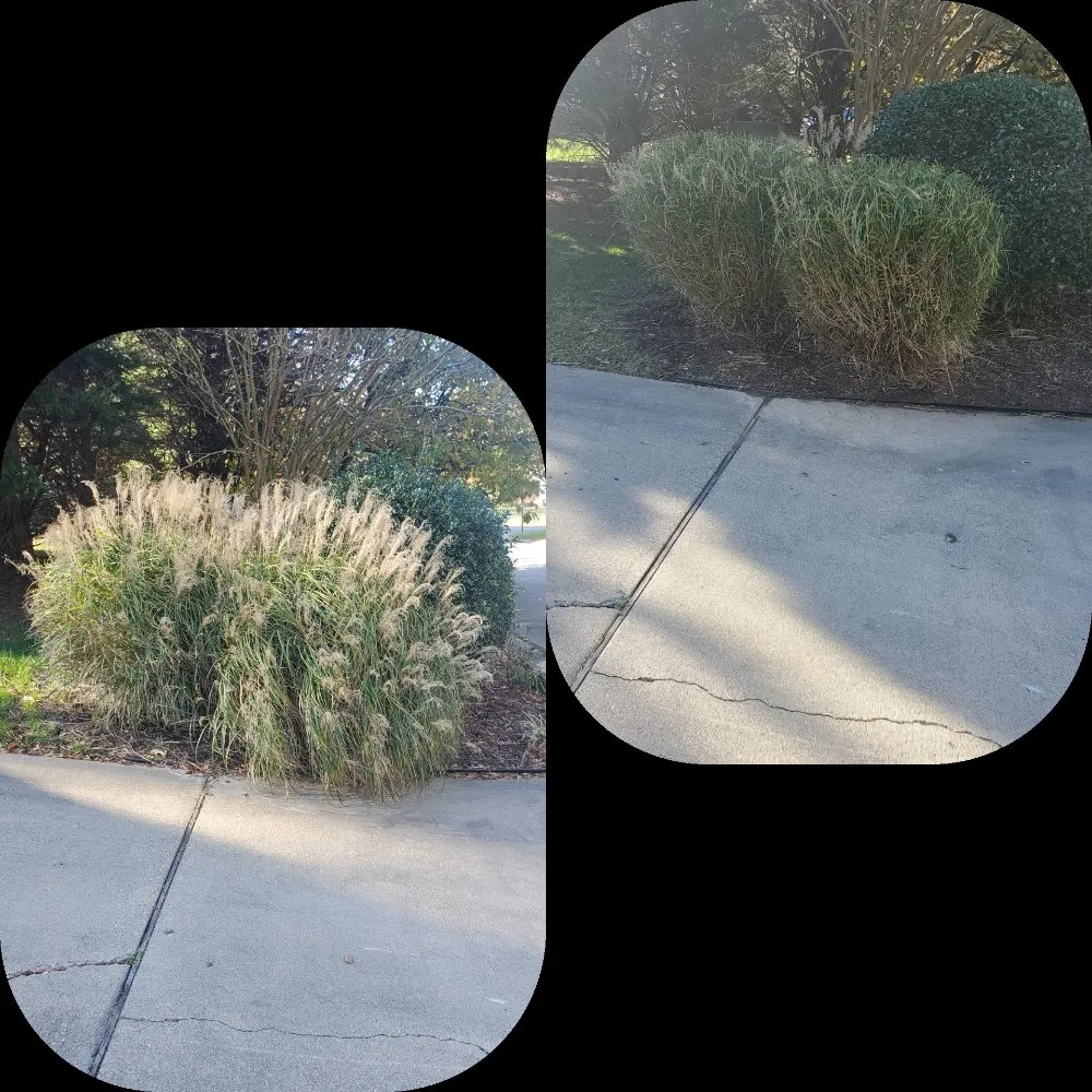 Expert yard cleanup service for homes across Smithfield, VA - Scapers