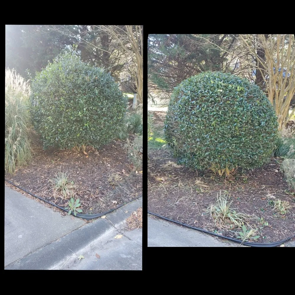 Reliable lawn mowing service for outdoor upgrades in Smithfield, VA by Scapers