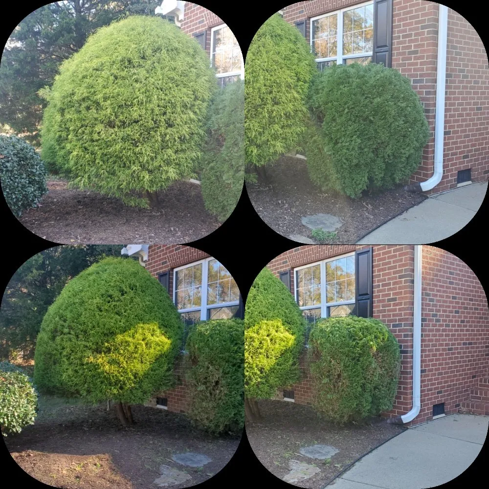 Reliable landscaping services for beautiful yards in Smithfield, VA by Scapers