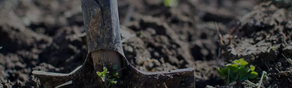 Reliable outdoor landscaping for year-round maintenance across Manahawkin, NJ - Scapes and Services