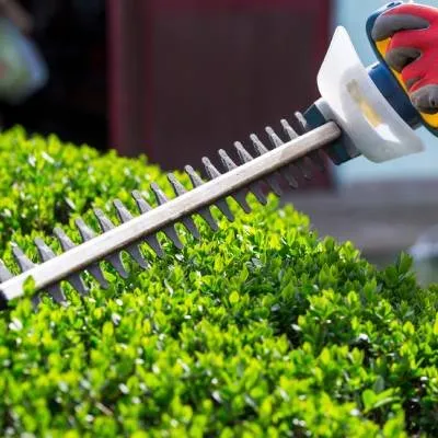 Expert residential landscaping near you in Manahawkin, NJ by Scapes and Services