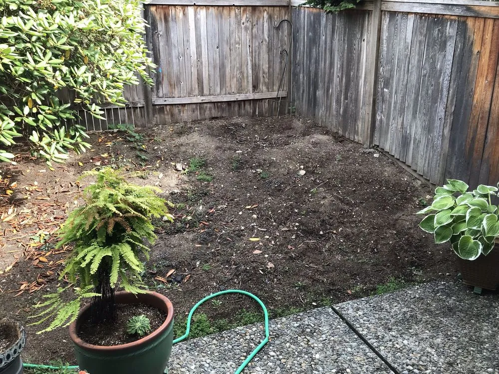 Trusted outdoor landscaping in Mukilteo, WA - Scapes and Spaces