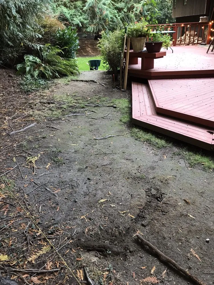 Professional yard cleanup service experts serving Mukilteo, WA - Scapes and Spaces