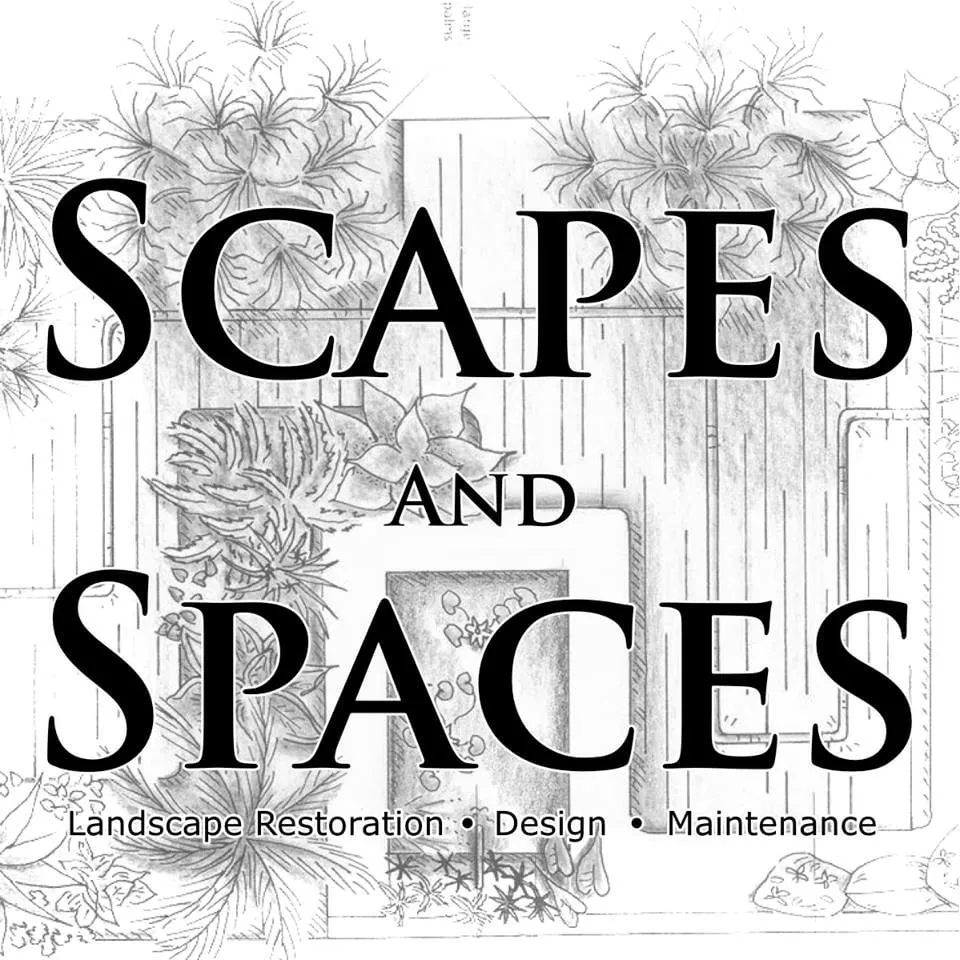 Professional landscape installation in Mukilteo, WA by Scapes and Spaces