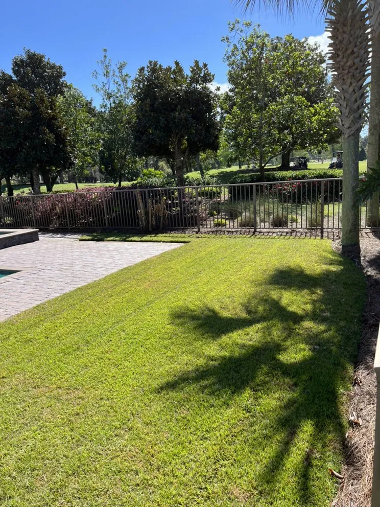 Custom outdoor landscaping experts serving Santa Rosa Beach, FL - Scapes By Scali