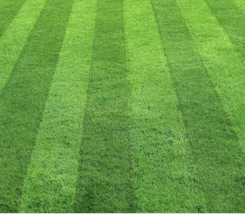 Custom lawn care service for beautiful yards in Santa Rosa Beach, FL by Scapes By Scali