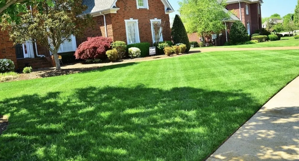 Top-rated lawn mowing service for beautiful yards across Santa Rosa Beach, FL - Scapes By Scali