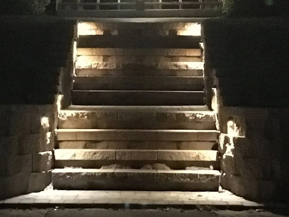 Trusted yard maintenance for residential properties in Morehead City, NC by Scapes by Steven