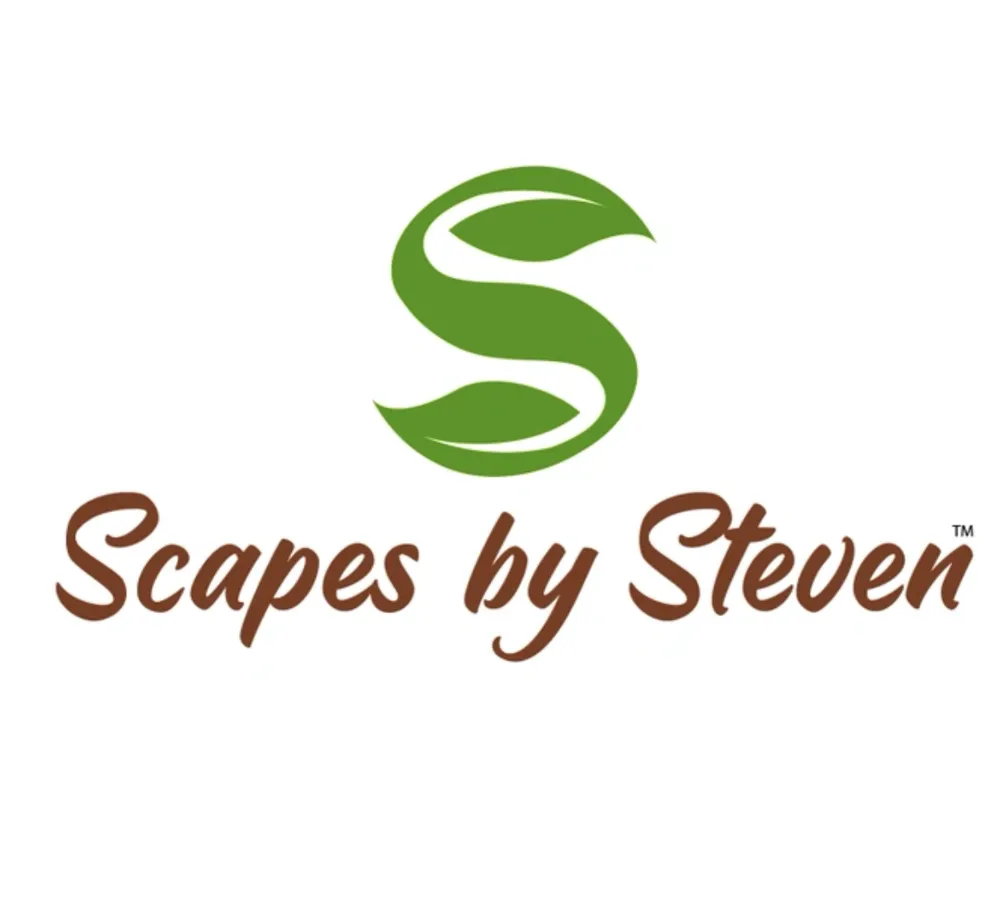 Reliable yard cleanup service for residential properties in Morehead City, NC by Scapes by Steven