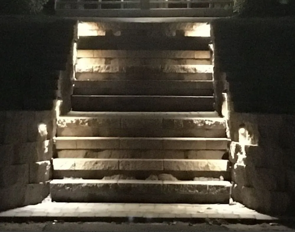 Expert yard maintenance for year-round maintenance across Morehead City, NC - Scapes by Steven