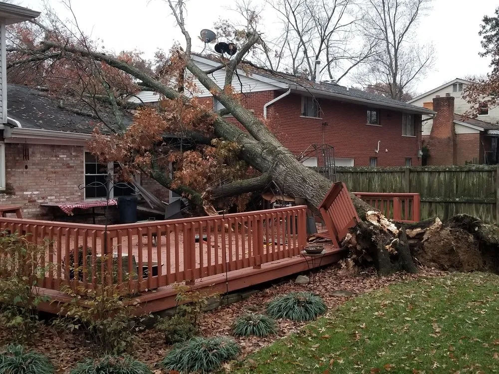 Local outdoor landscaping for residential properties across Cincinnati, OH - Scapes