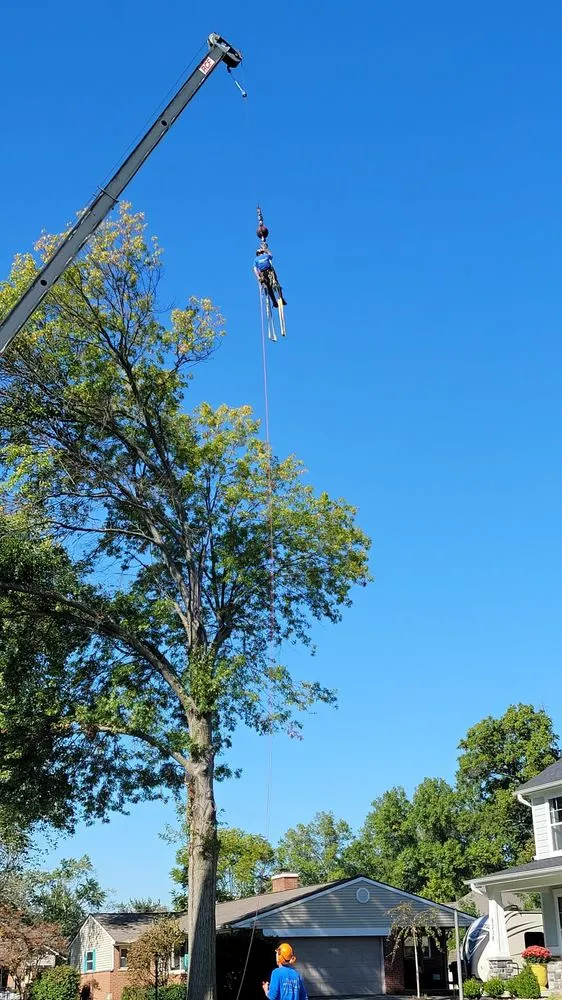 Local yard maintenance near you across Cincinnati, OH - Scapes