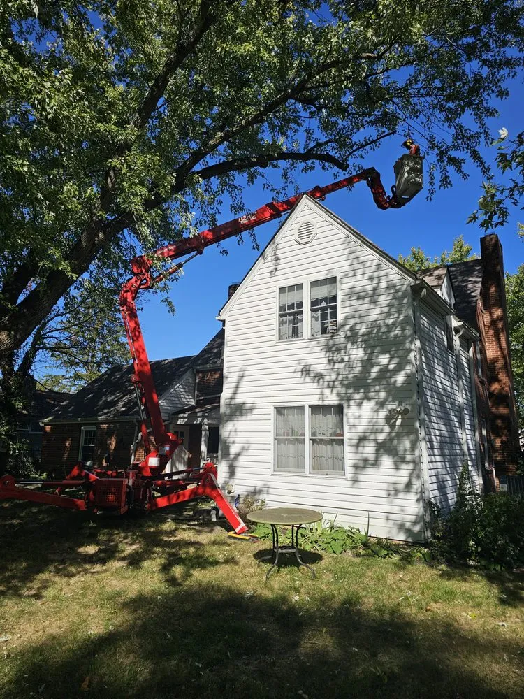 Trusted residential landscaping with custom design across Cincinnati, OH - Scapes