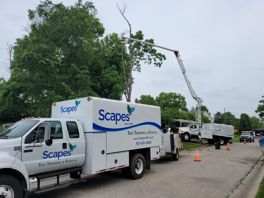 Affordable lawn care service for residential properties in Cincinnati, OH by Scapes