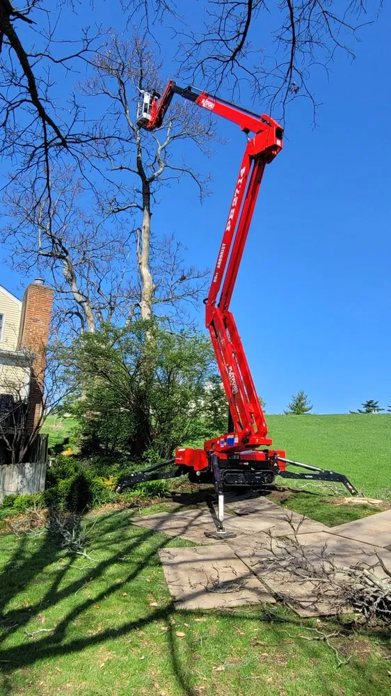 Custom landscape design in Cincinnati, OH by Scapes