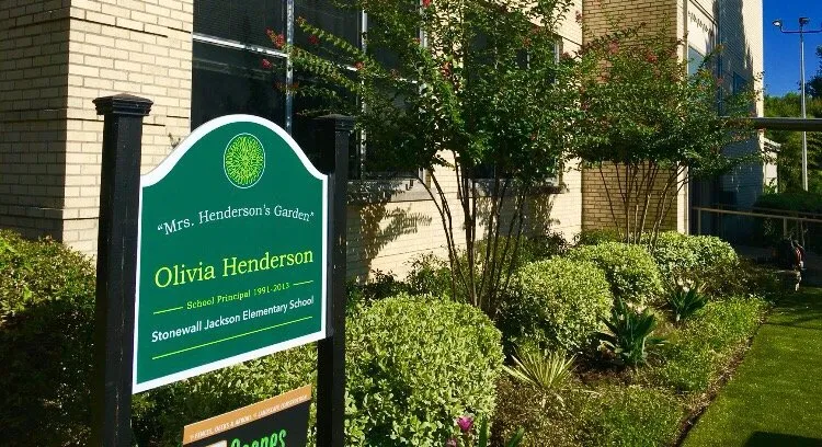 Reliable landscape design experts serving Dallas, TX - Scapes