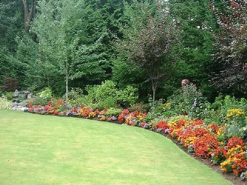 Top-rated yard cleanup service in Allentown, PA by Scapes Design