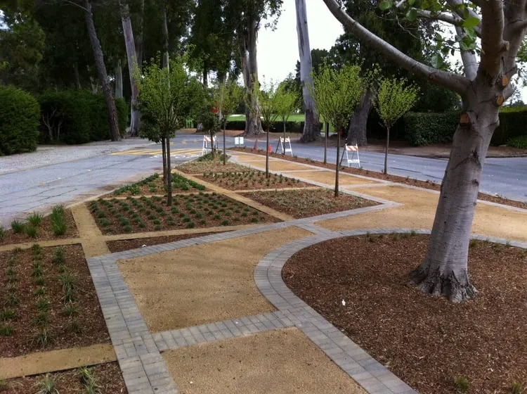 Local residential landscaping for year-round maintenance in Half Moon Bay, CA by Scapes