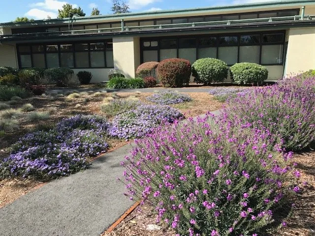 Expert landscape installation near you across Half Moon Bay, CA - Scapes