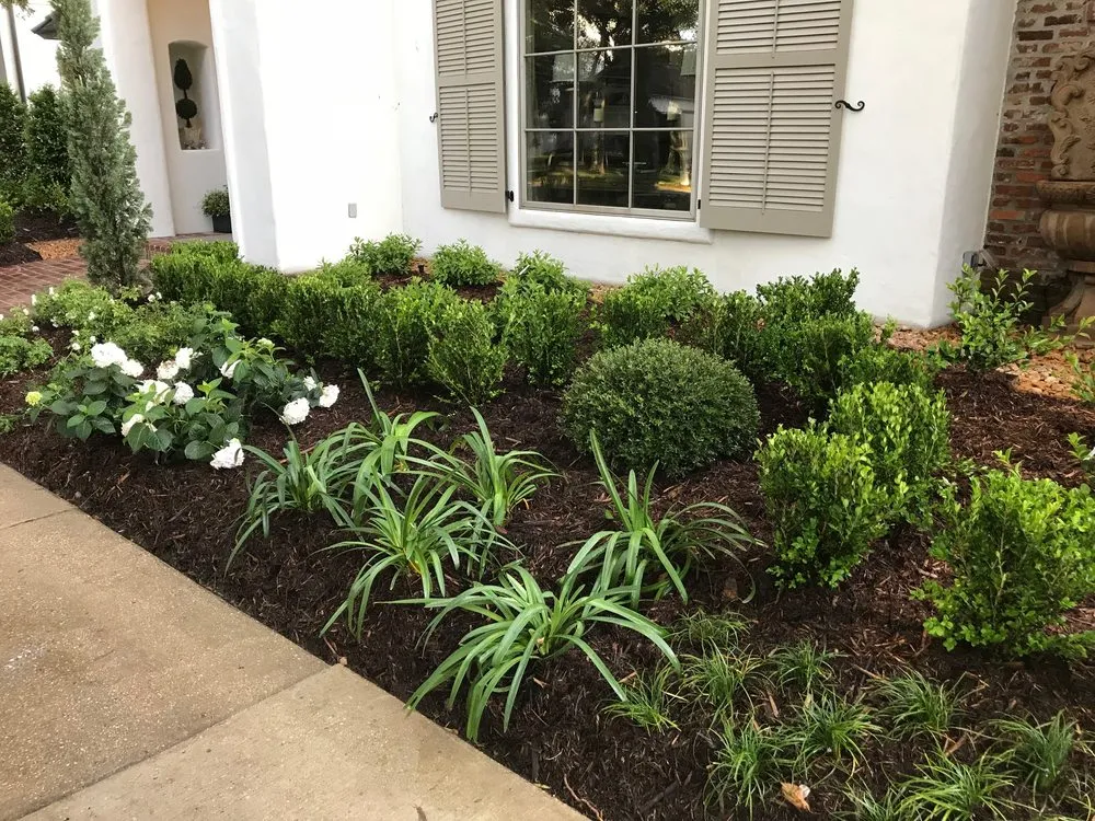 Local yard cleanup service experts serving Lafayette, LA - Scapes