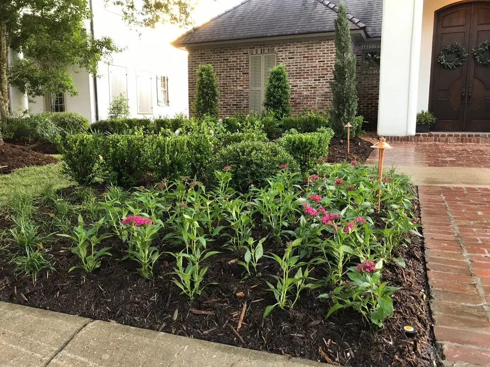 Custom yard maintenance in Lafayette, LA - Scapes