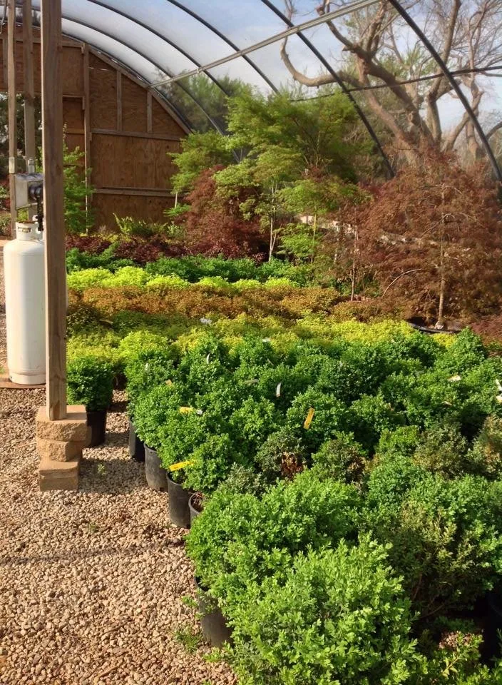 Top-rated landscaping services for homes in Mustang, OK by Scapes