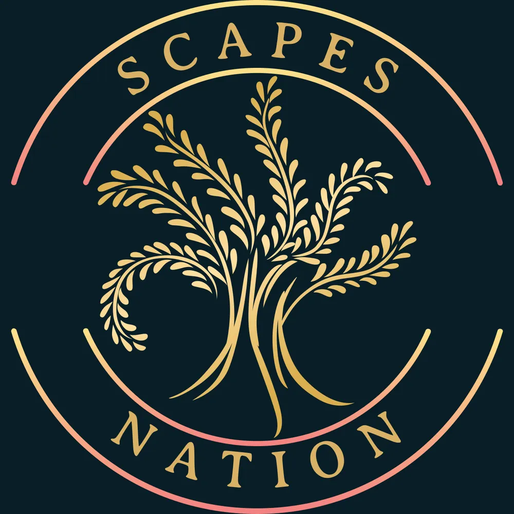 Custom outdoor landscaping experts serving Phoenix, AZ - Scapes Nation