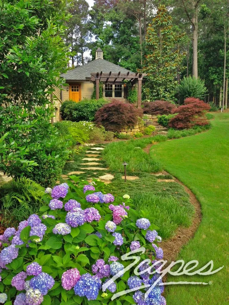 Expert landscaping services for year-round maintenance in Roswell, GA by Scapes