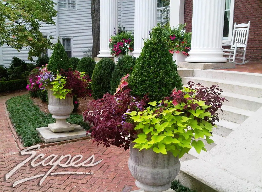 Affordable lawn mowing service for beautiful yards across Roswell, GA - Scapes