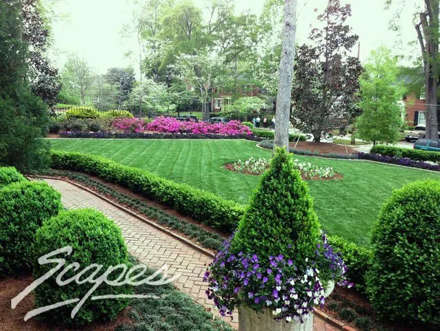 Local residential landscaping in Roswell, GA by Scapes