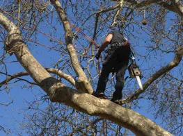 Top-rated yard maintenance experts serving Warrenton, VA - Scapes