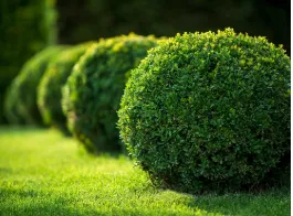 Reliable landscape design in Warrenton, VA by Scapes