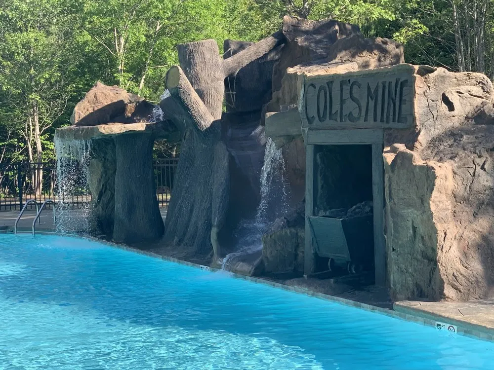 Expert yard cleanup service in Whitefish, MT - Scapes