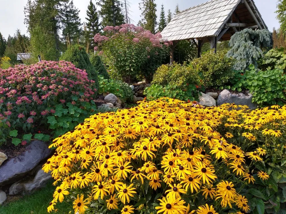 Top-rated residential landscaping for year-round maintenance across Whitefish, MT - Scapes