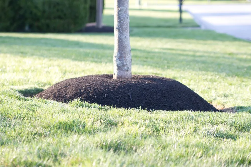 Custom landscape design experts serving Glen Mills, PA - ScapeWorx Landscape Design & Maintenance