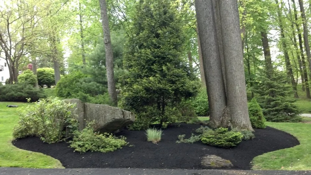 Affordable lawn care service for residential properties across Glen Mills, PA - ScapeWorx Landscape Design & Maintenance