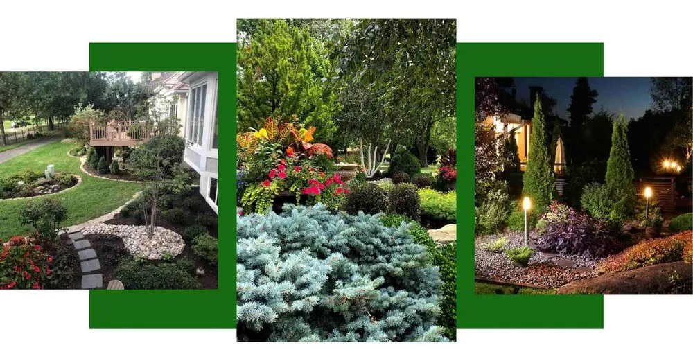 Top-rated lawn mowing service experts serving Rockville, MD - Scapex Landscape & Design