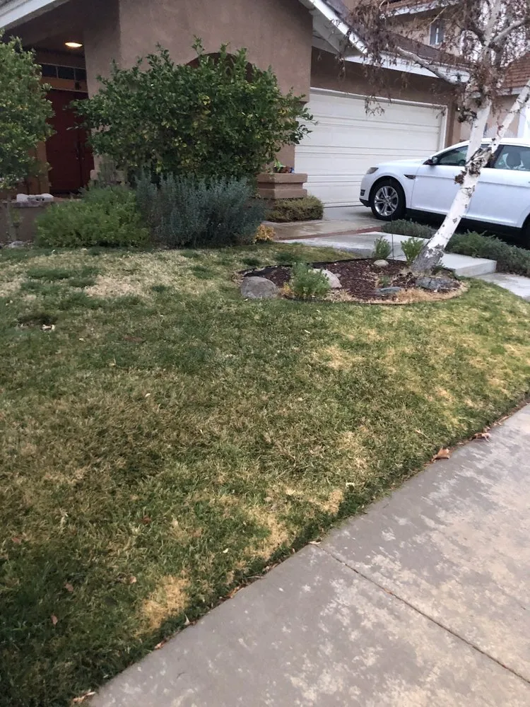 Expert lawn mowing service for homes in Palmdale, CA by Scapezone landscape solutions
