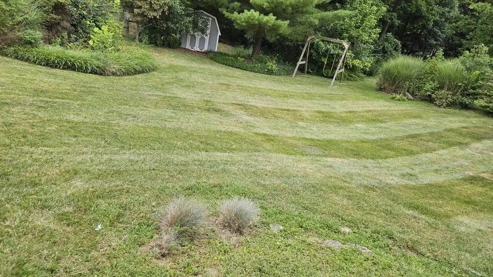 Local garden landscaping experts serving Hamersville, OH - Scapify