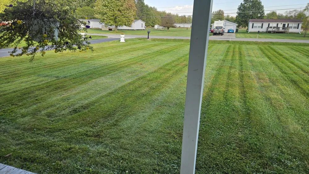 Top-rated residential landscaping in Hamersville, OH by Scapify
