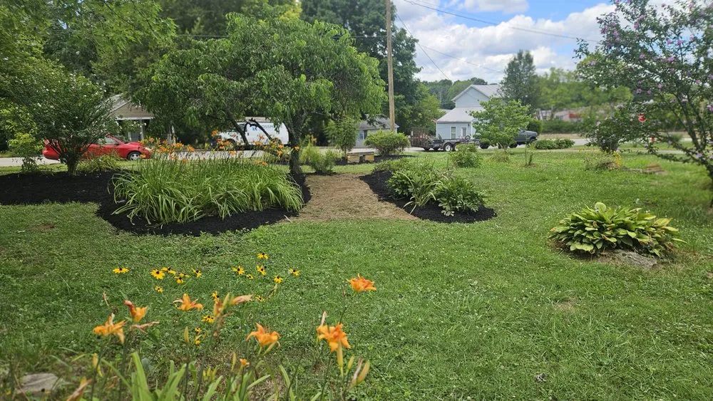 Custom landscaping services for outdoor upgrades in Hamersville, OH by Scapify