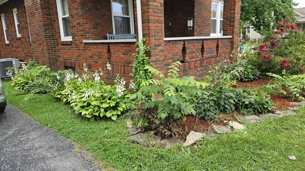 Professional landscape installation for year-round maintenance across Hamersville, OH - Scapify