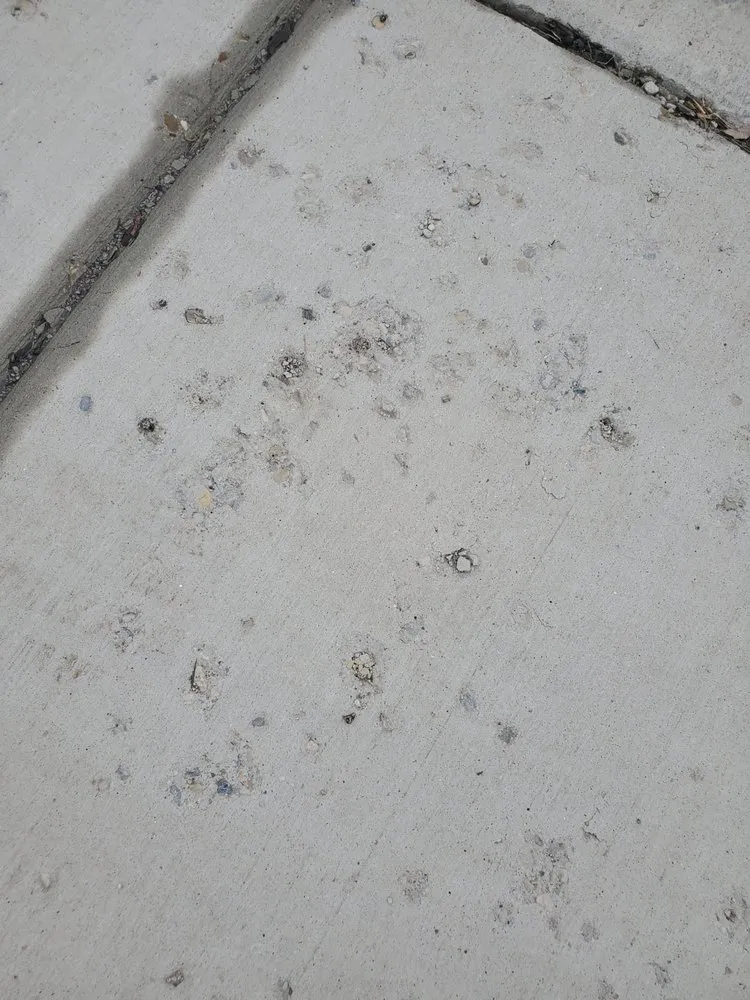 Affordable lawn care service for year-round maintenance in Wheeling, IL by Scaravalle Co